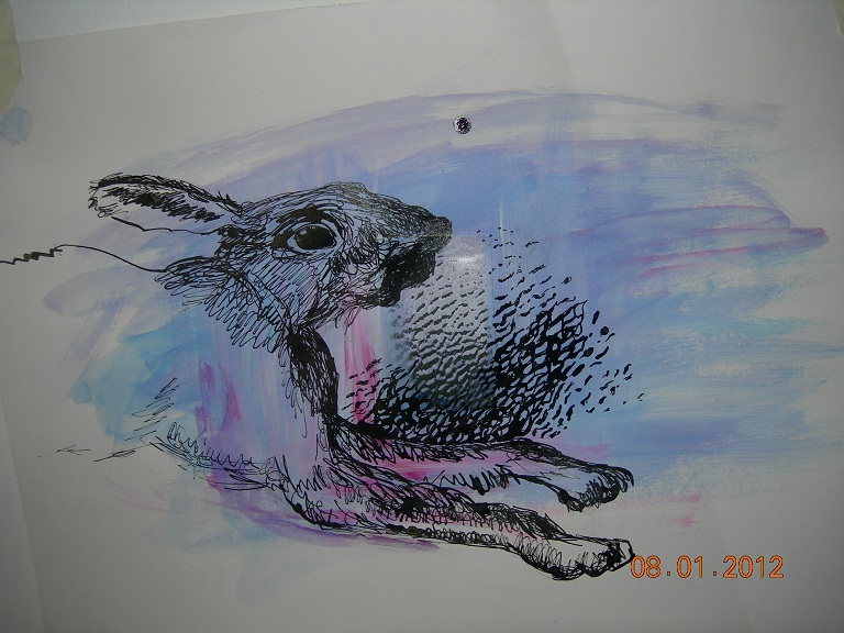 HARE in FLIGHT